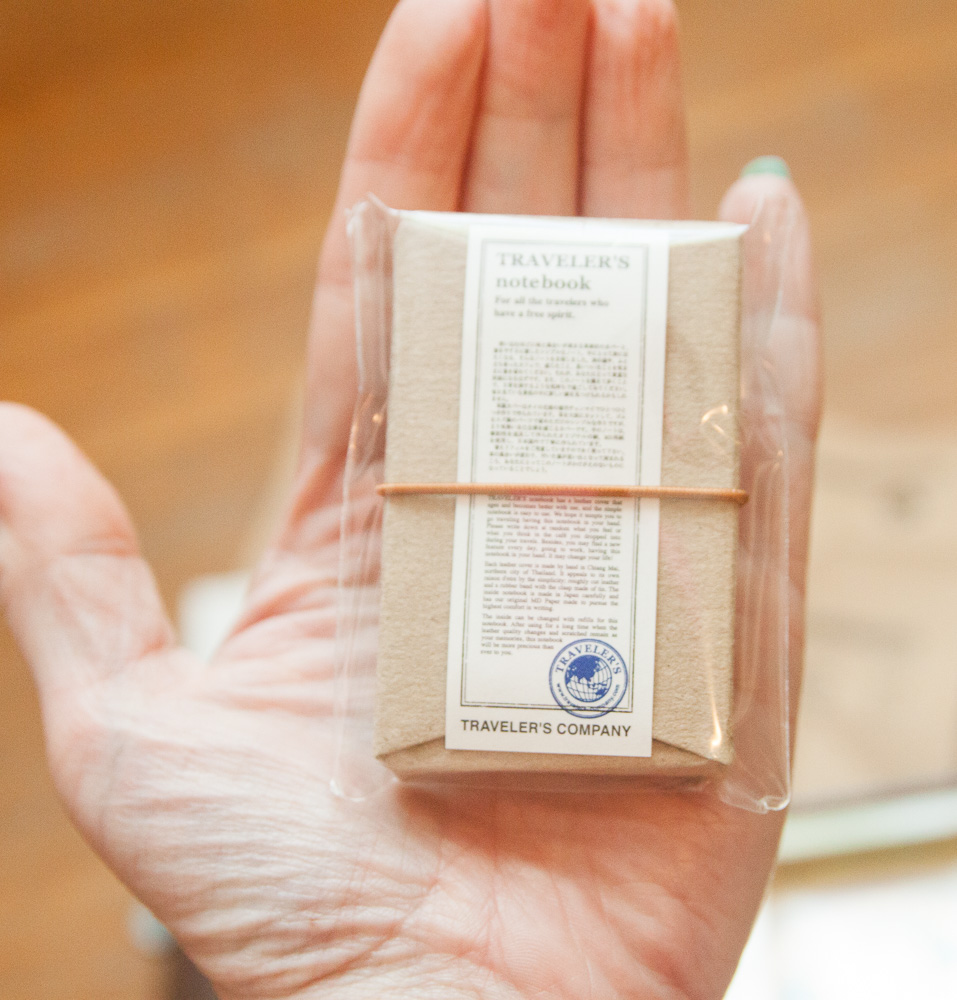 Peek: 10th Anniversary Traveler's Notebook Mini Size – The Well