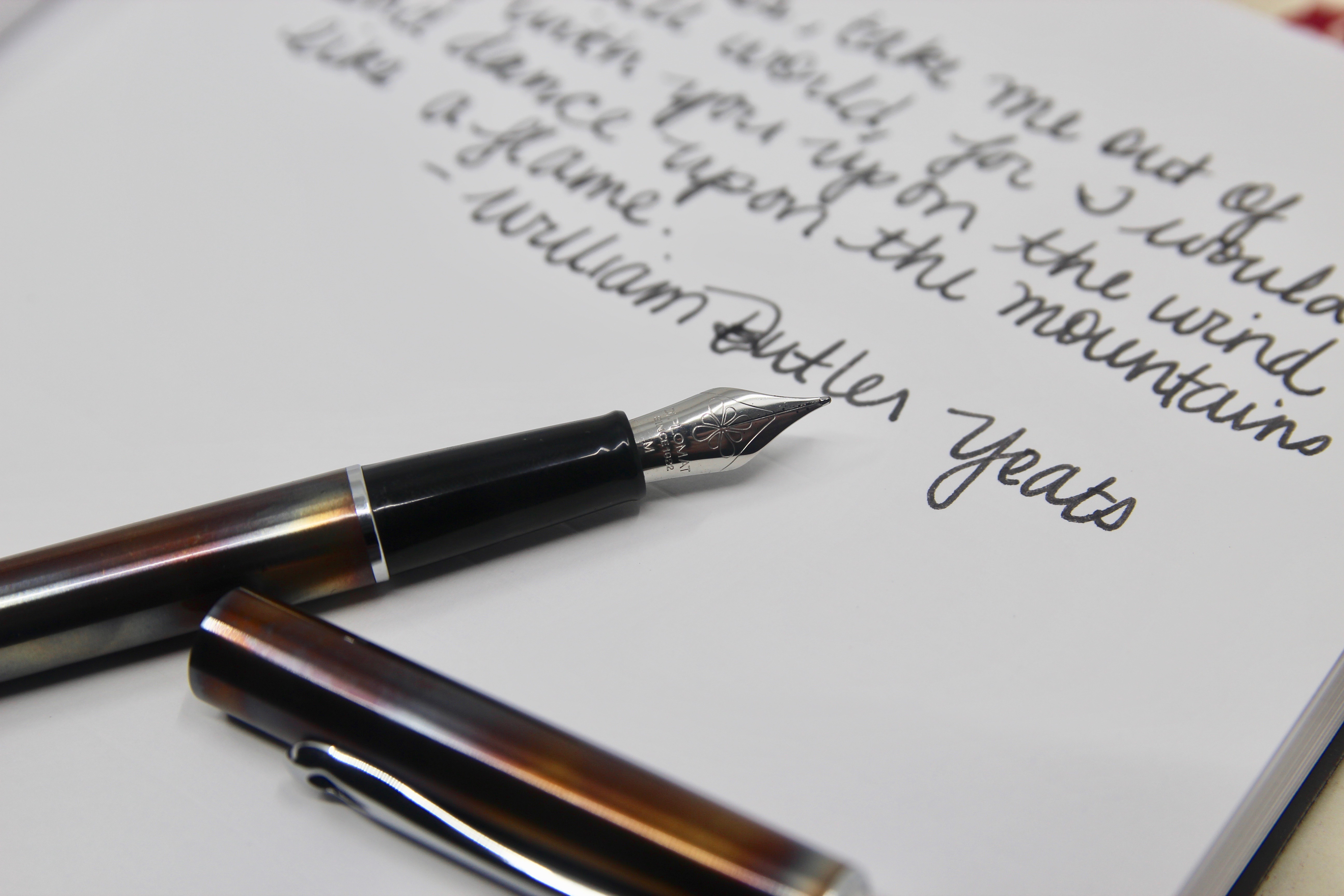 Pen Review: Traveller Medium - The Well-Appointed Desk